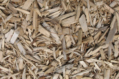 biomass boilers Hoby